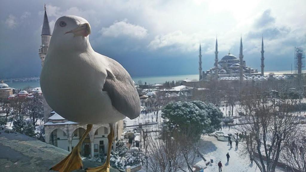 Esra Sultan Petrol Hotel Istanbulská provincie Pokoj fotografie